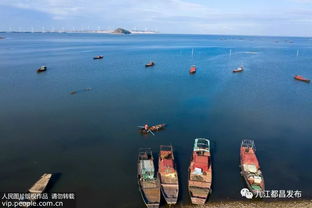 鄱阳湖来事了 全面禁止天然渔业资源生产性捕捞 禁捕期十年